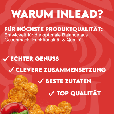 Inlead Protein Chips - [6er Karton] 6 x 50 g Sour Cream & Onion