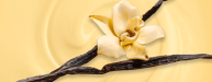 Vanilla