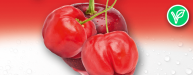 Acerola Cherry